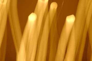 _DSC0880.JPG