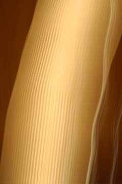 _DSC0858.JPG