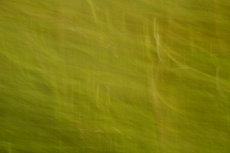 _DSC0913.JPG