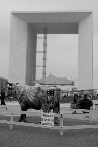 DSC_0113.JPG