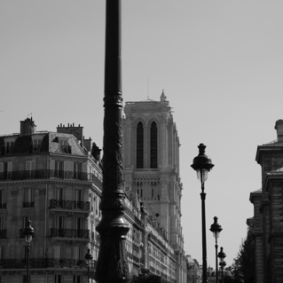 _DSC0438.JPG